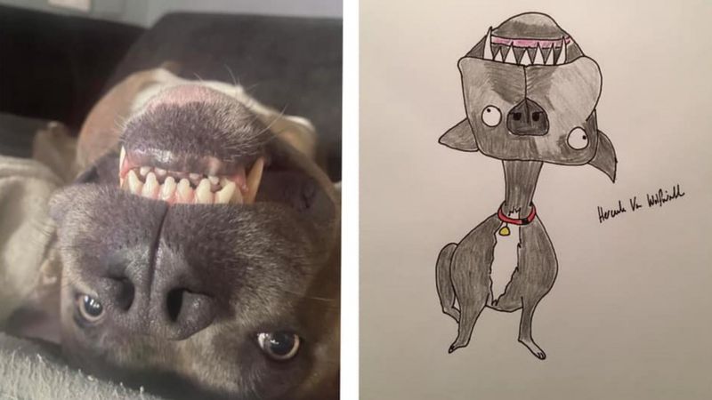 Amazing Absurd Pet Portraits! - Absurd Design