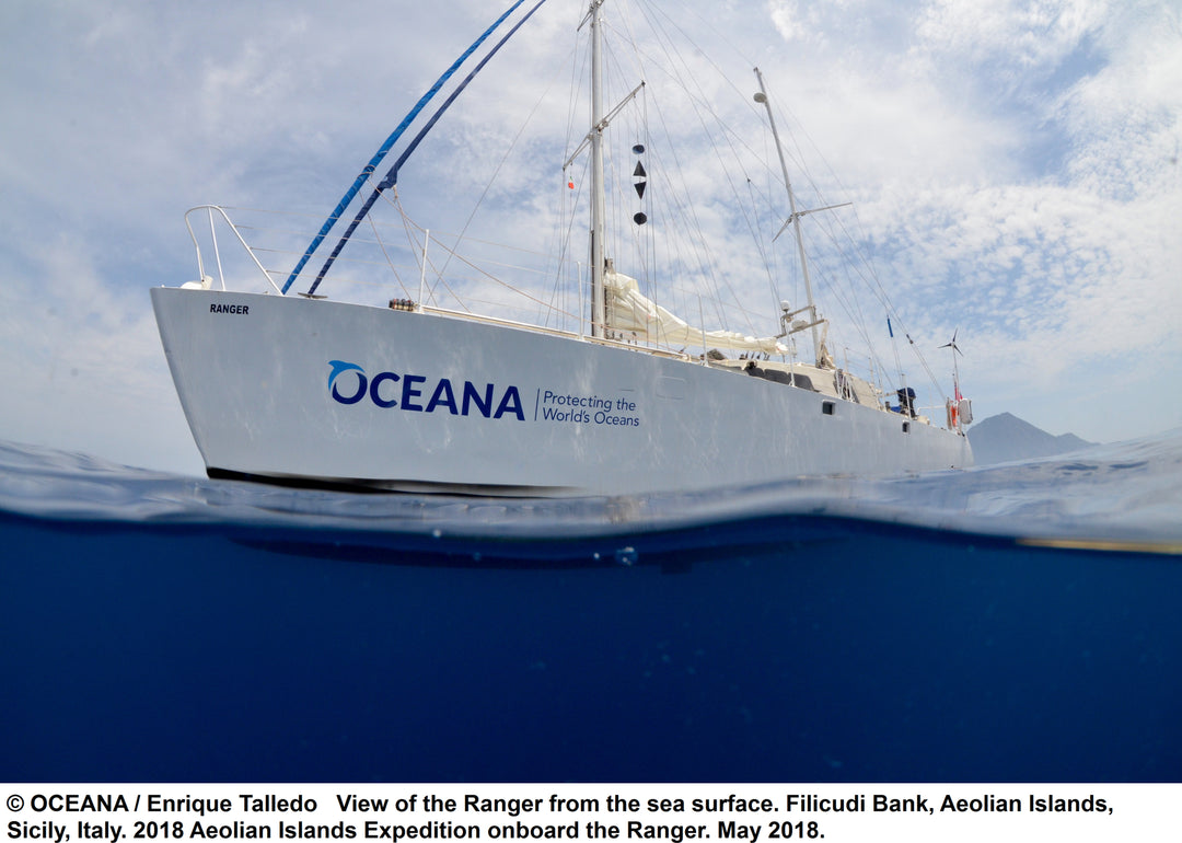 New Ocean Charity : Oceana
