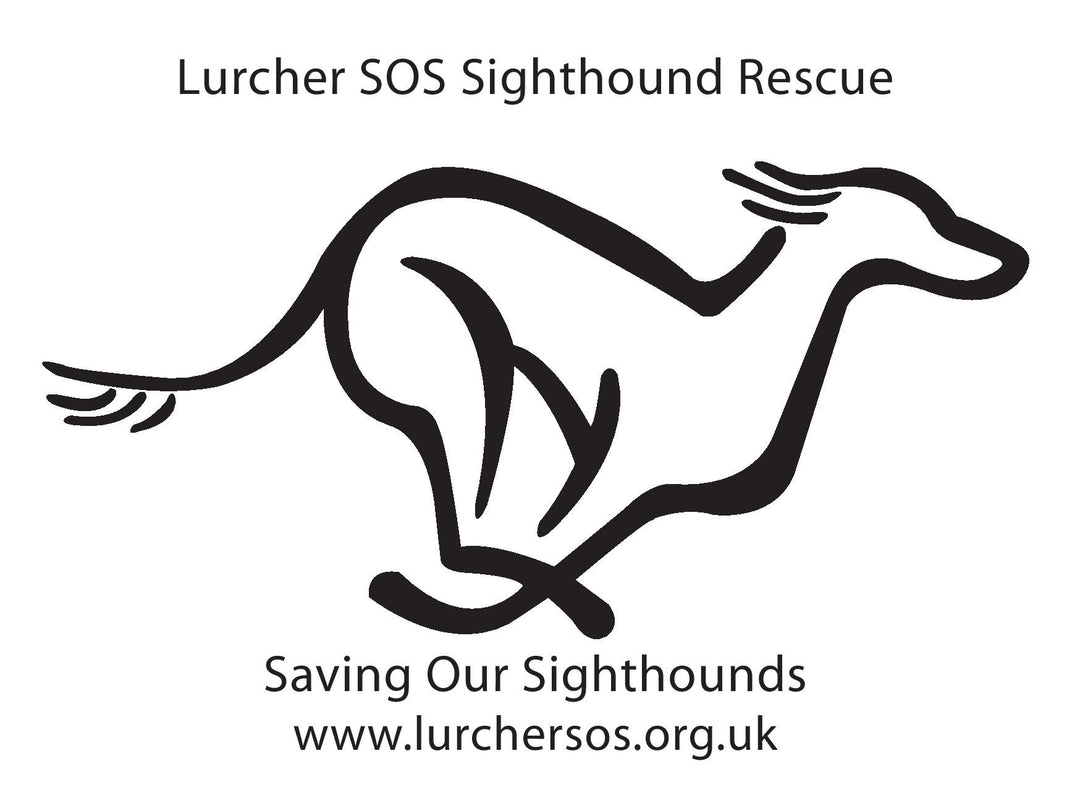 Raising Funds for Charity