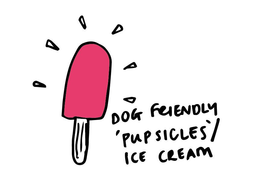 Keeping your dog cool this summer!