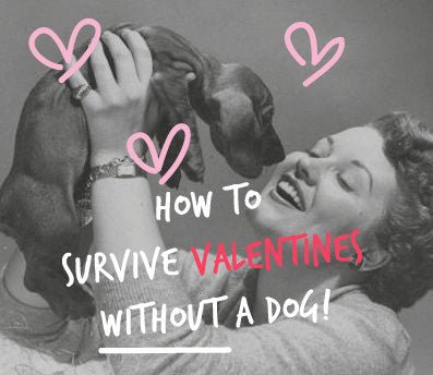 My non-existant furry Valentine! - Absurd Design