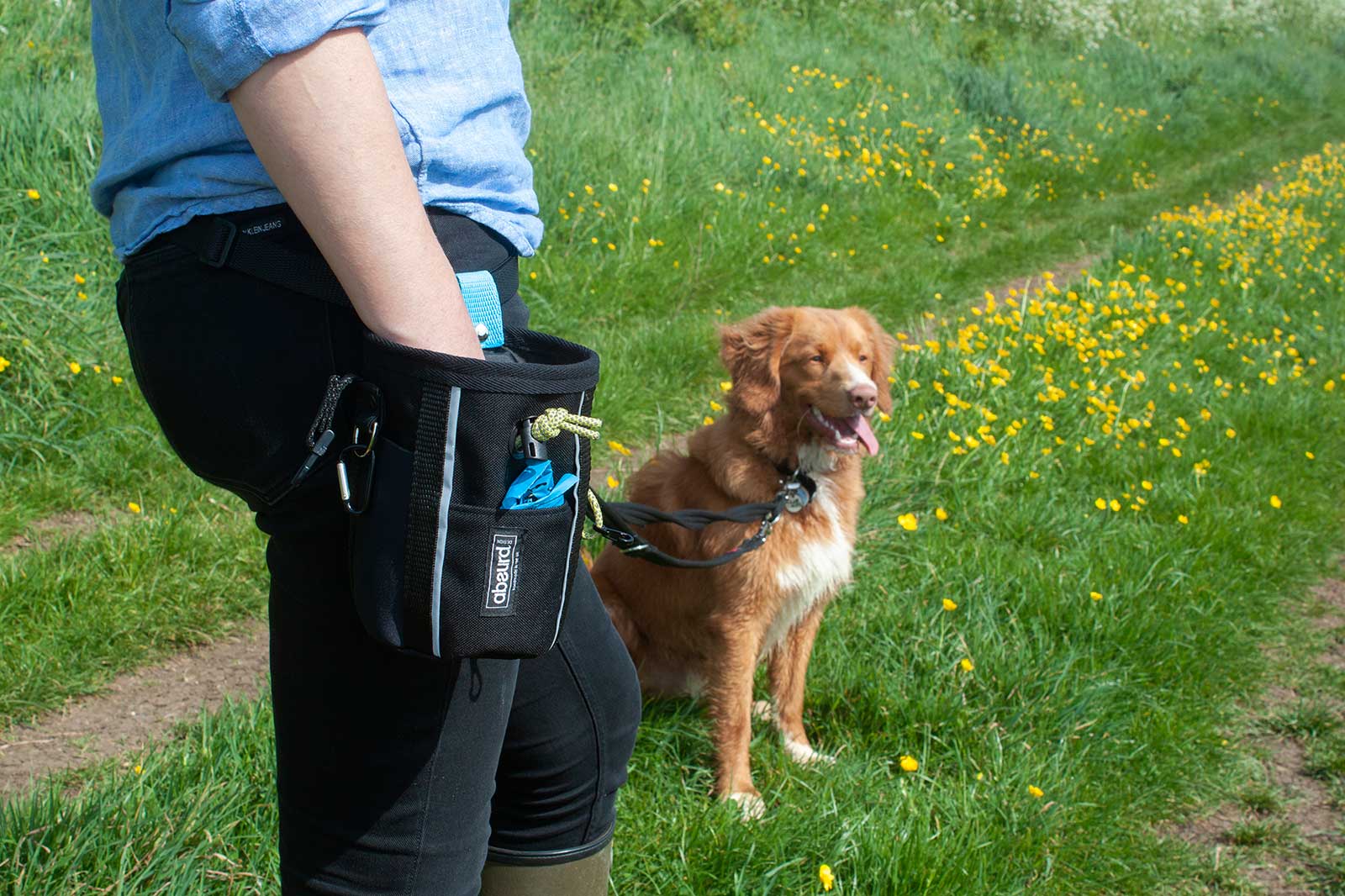 Dog Training Treat Pouches and Bags - Absurd Design