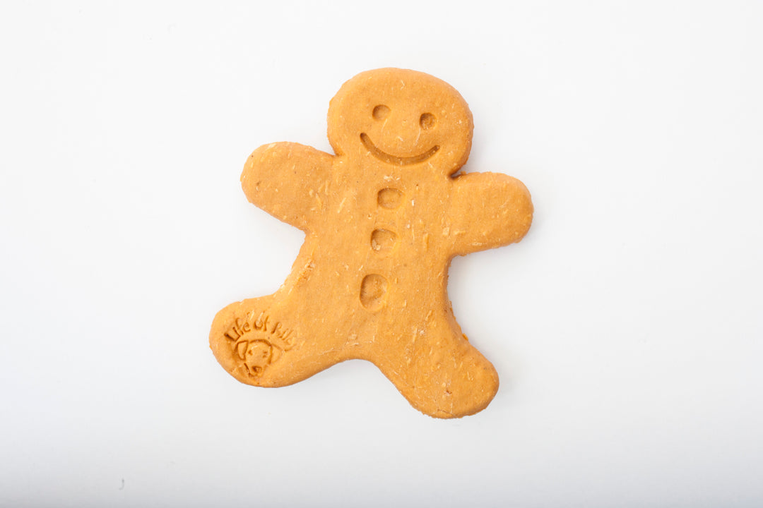 Christmas Limited Edition : Gingerbread Man Dog Treat