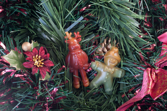 Xmas Veggie Dog Treats: Ginger &amp; Dasher Limited Edition