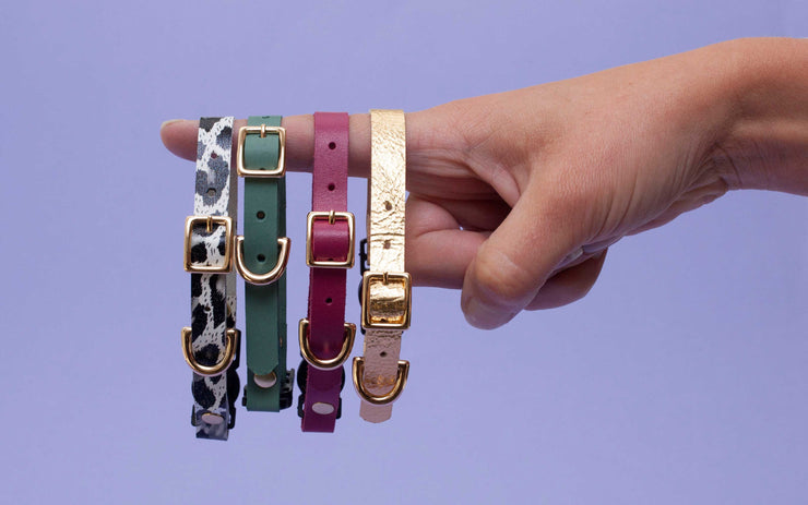 Luxury Leather Cat Collars with Breakaway Buckle – Absurd Design