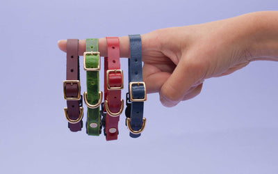 Fancy Leather Cat Collars with Breakaway Buckle