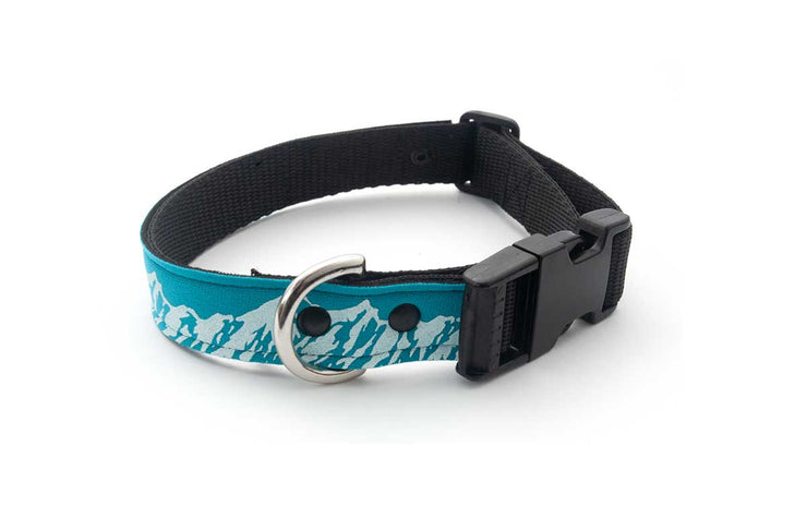 Neoprene Dog Collar: Alpine