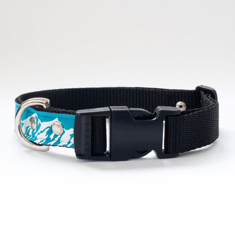Neoprene Dog Collar: Alpine