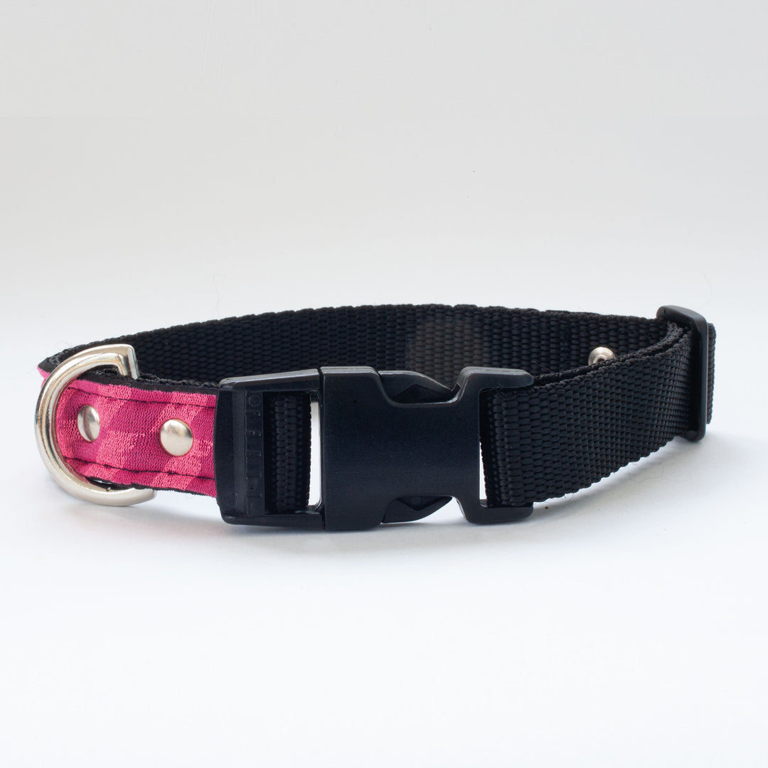 Neoprene Dog Collar: Baby Driver