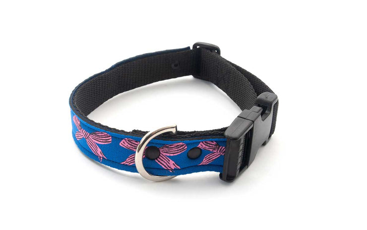 Neoprene Dog Collar: Pop Art