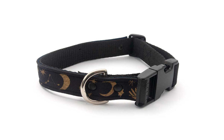 Neoprene Dog Collar: Celestial