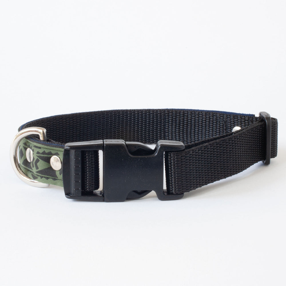 Neoprene Dog Collar: Congo