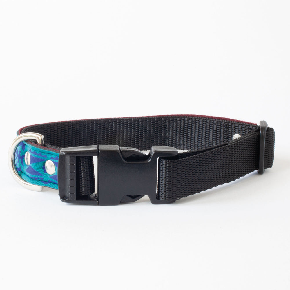 Neoprene Dog Collar: Cowabunga!