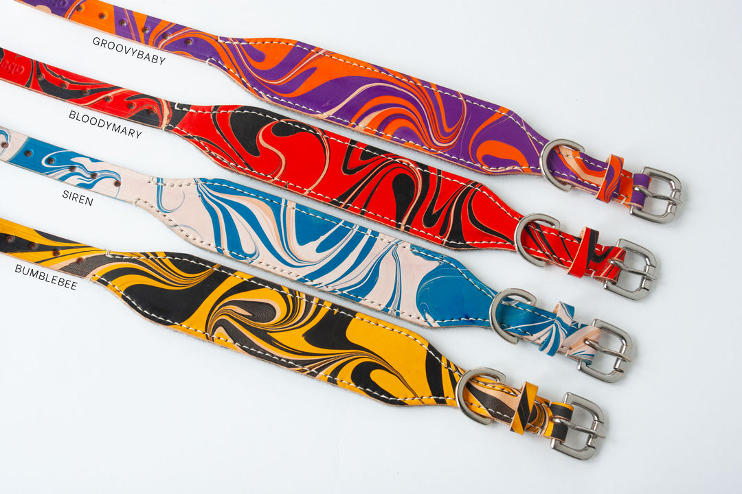 Leather Hound Collar : GroovyBaby