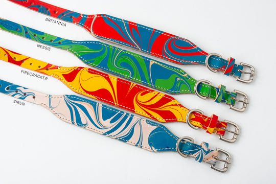 Leather Hound Collar : Britannia