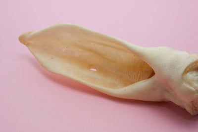 Goat Ear - Each