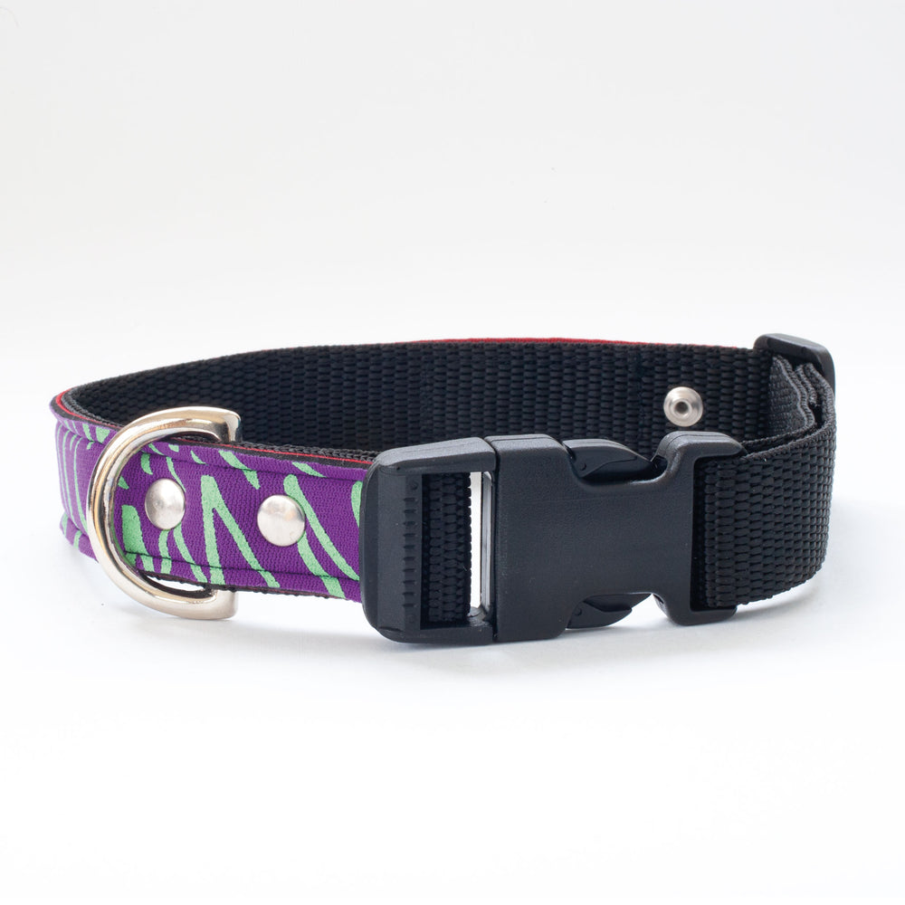 Neoprene Dog Collar: Hocus Pocus