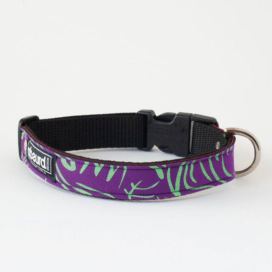 Neoprene Dog Collar: Hocus Pocus