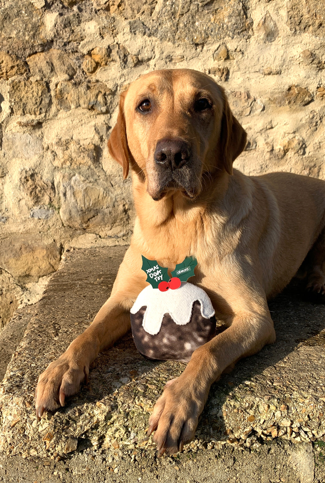 Upcycled Wetsuit Dog Toy - Christmas Pudding