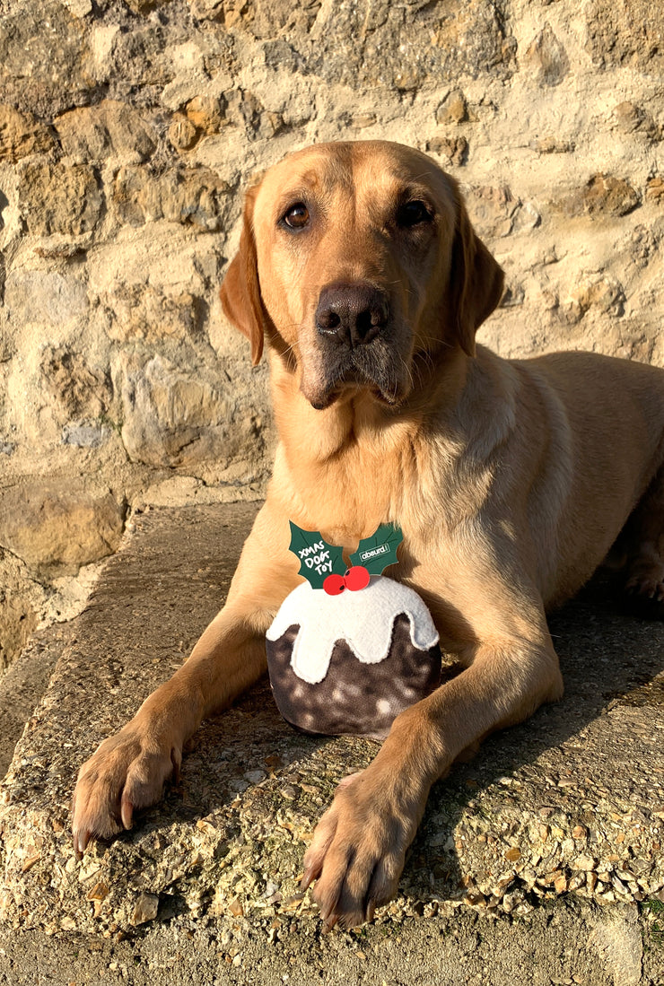 Upcycled Wetsuit Dog Toy - Christmas Pudding