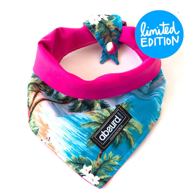 Fun Dog Bandana: Maui