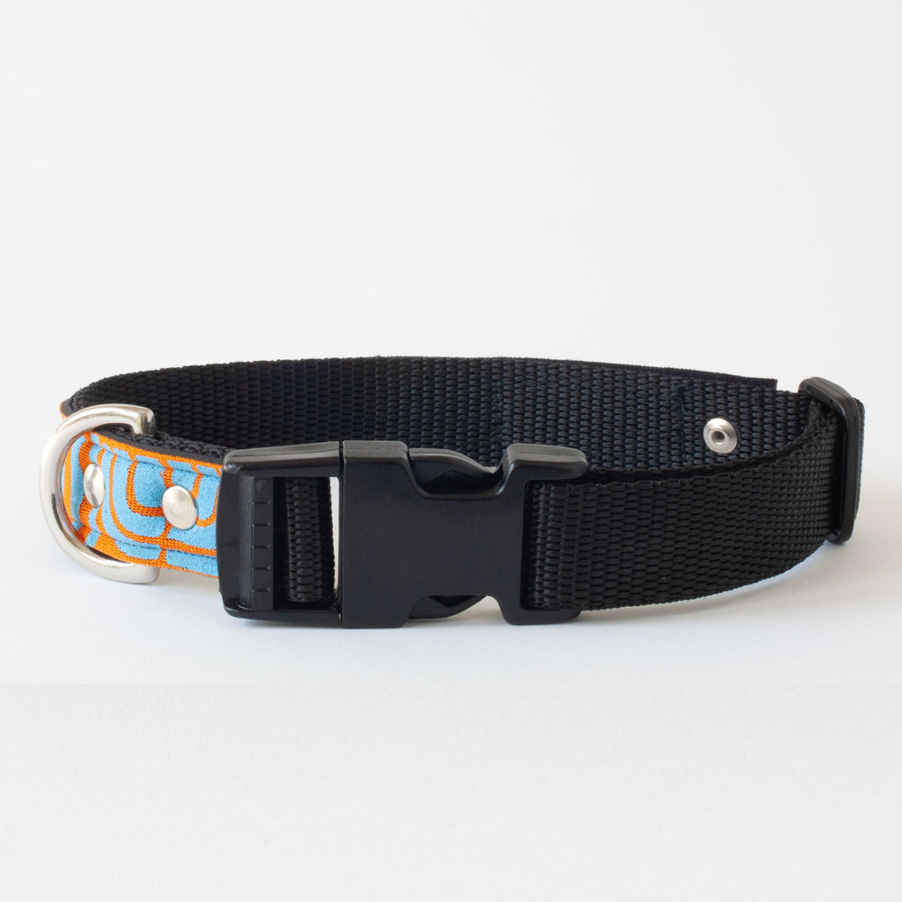 Neoprene Dog Collar: Nairobi