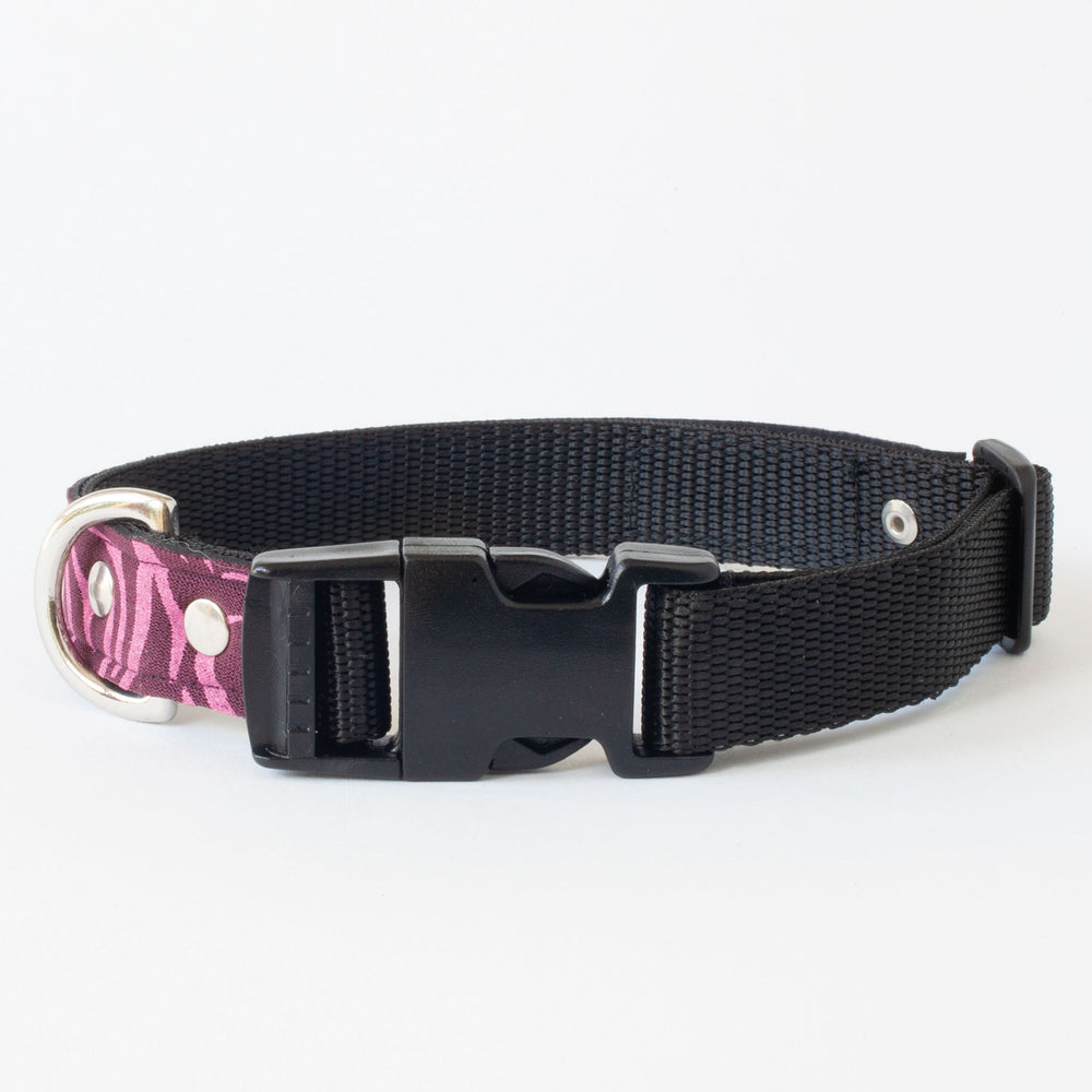 Neoprene Dog Collar: Nebula