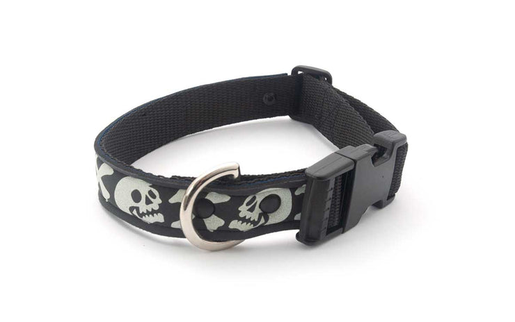 Neoprene Dog Collar: Pirate
