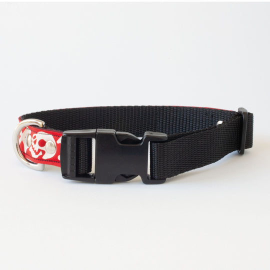 Neoprene Dog Collar: Pirate