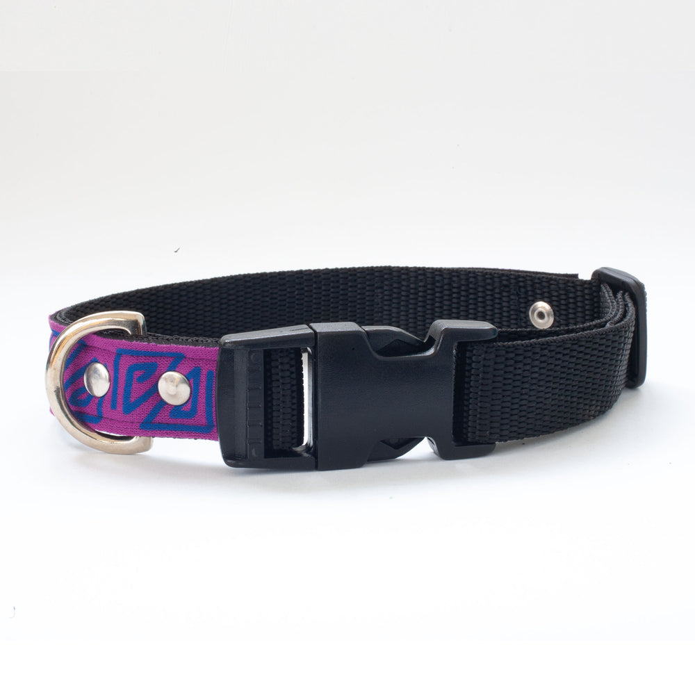 Neoprene Dog Collar: Pool Party