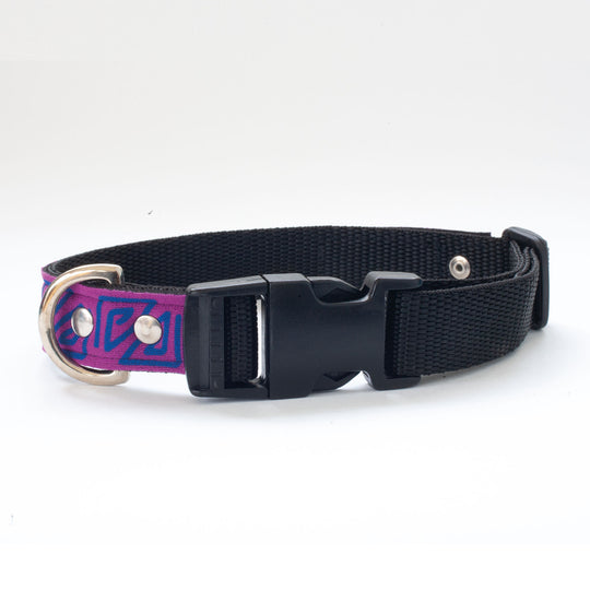 Neoprene Dog Collar: Pool Party