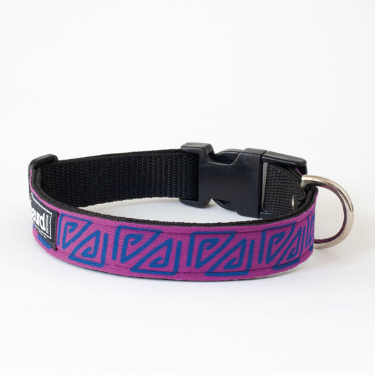 Neoprene Dog Collar: Pool Party