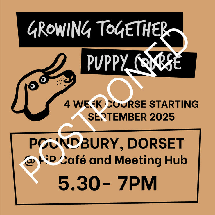 Growing Together Puppy Course : Poundbury