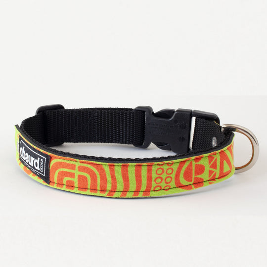 Neoprene Dog Collar: Reggae