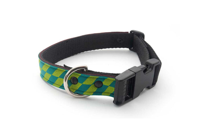 Neoprene Dog Collar: Speedway