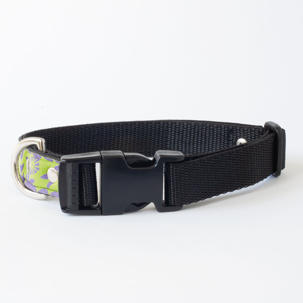 Neoprene Dog Collar: Tea Party