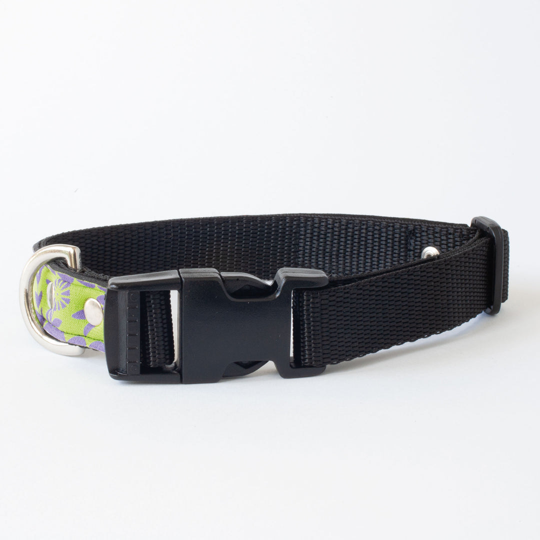 Neoprene Dog Collar: Tea Party