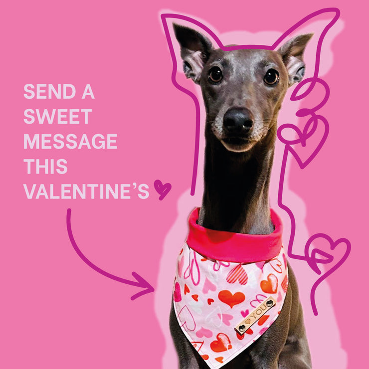 Valentine's Dog Bandana : Love Note