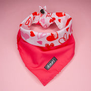 Valentine's Dog Bandana : Love Note