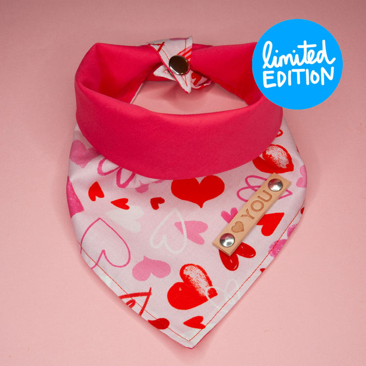 Valentine's Dog Bandana : Love Note