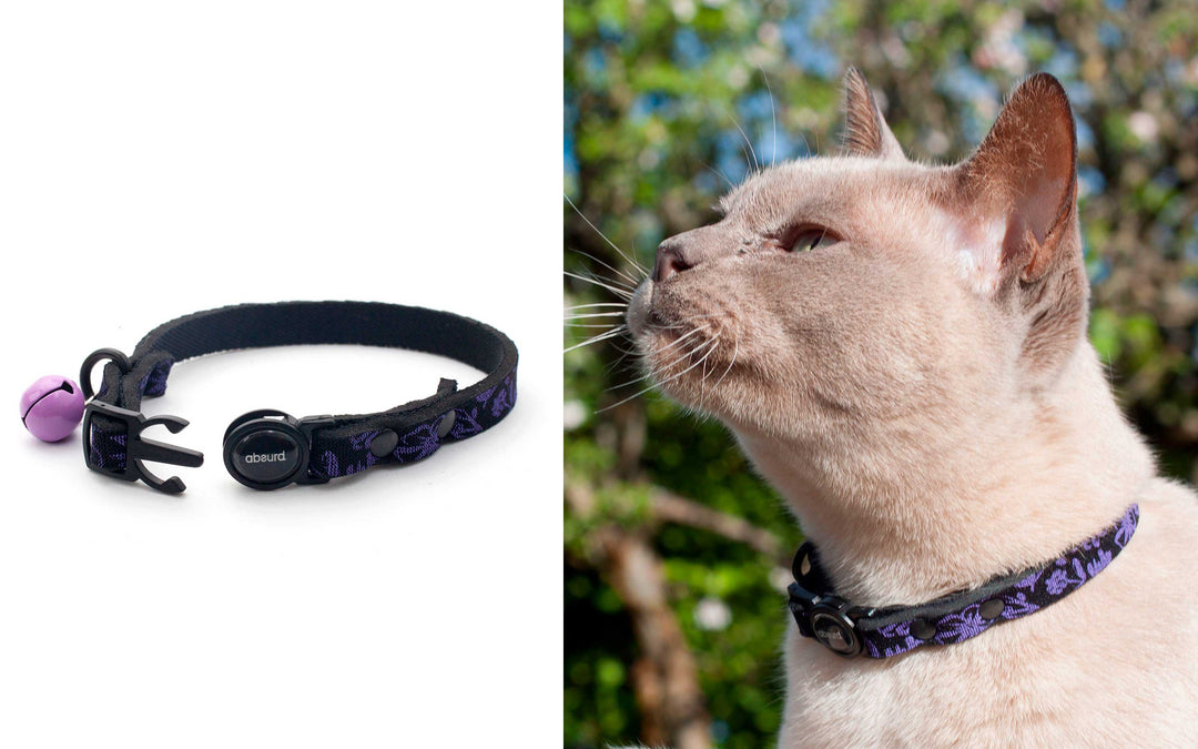 Upcycled Neoprene Safety Breakaway Cat Collar