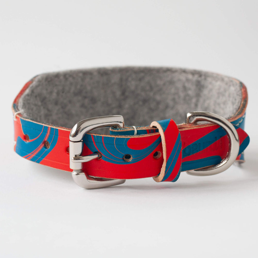 Leather Hound Collar : Britannia