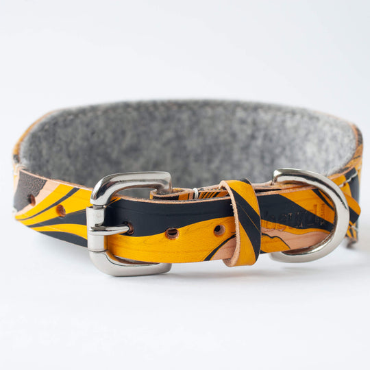 Leather Hound Collar : BumbleBee