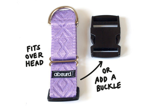 Chic Martingale Dog Collar 1.5" (38mm) | Embossed Patterned Webbing