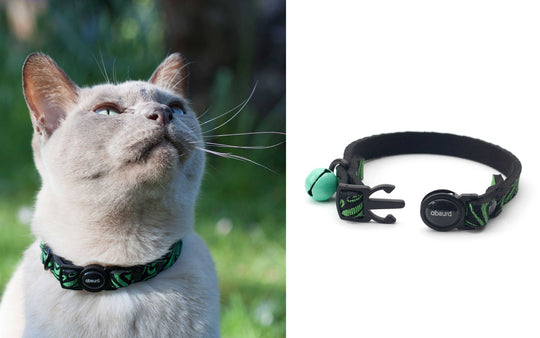 Upcycled Neoprene Safety Breakaway Cat Collar