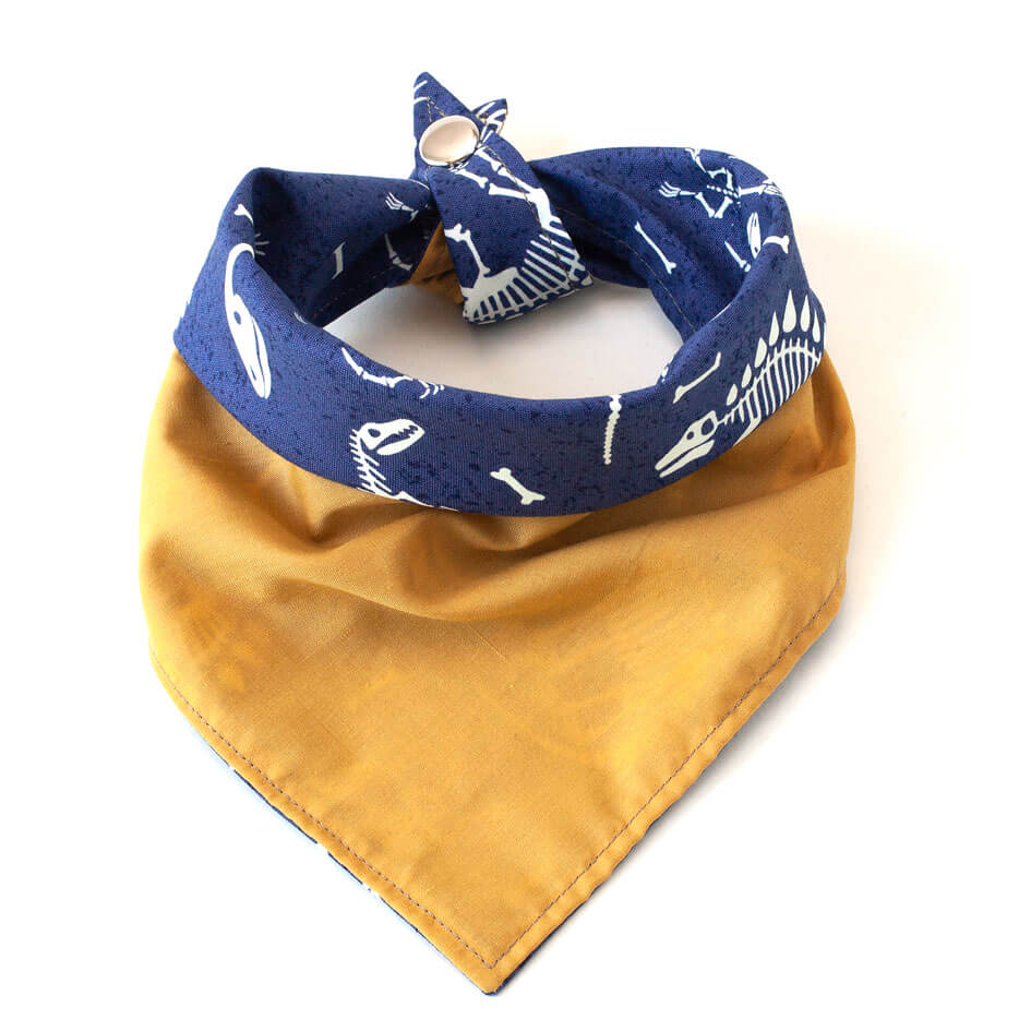 Fun Dog Bandana: FunnyBones (GLOW IN THE DARK!)