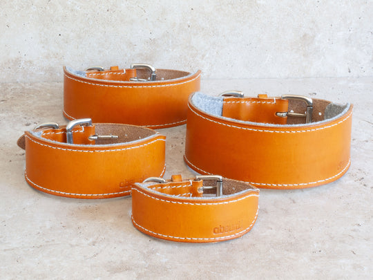 Oak Bark Tanned Leather Hound Collar