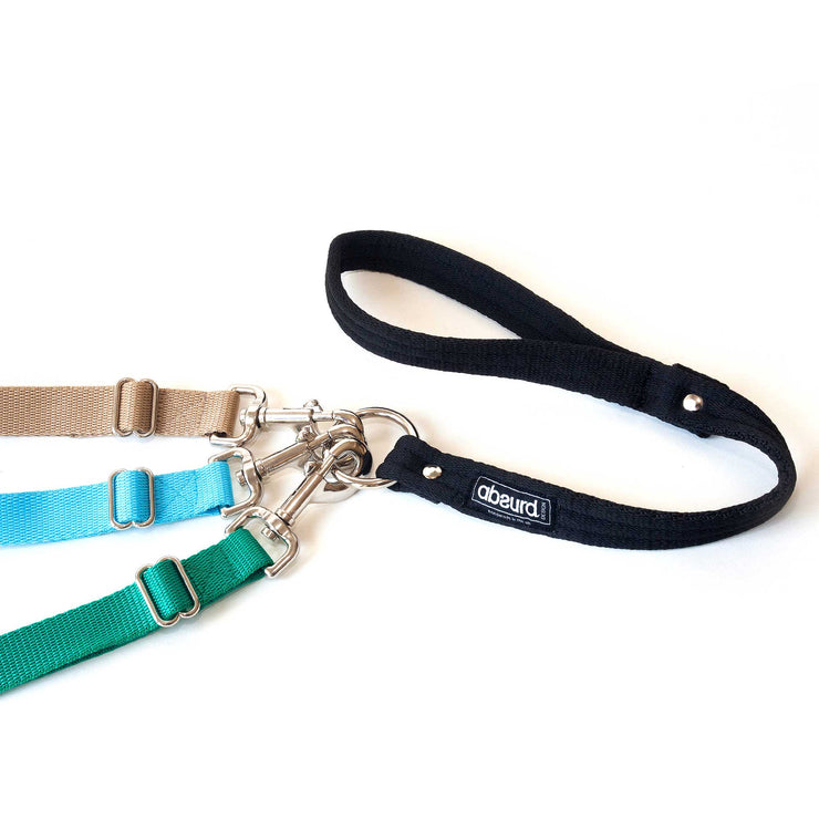 Multiple Dog Walking Lead in – Absurd Design - Main Image