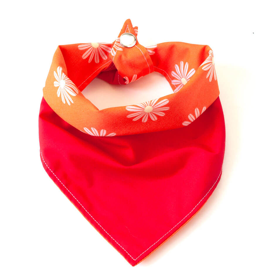 Fun Dog Bandana: HippyDippy