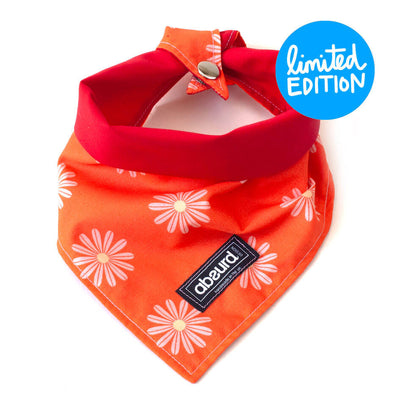 Fun Dog Bandana: HippyDippy